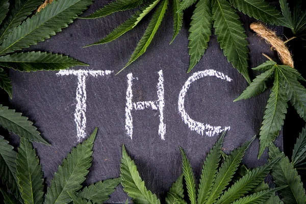 Antecedentes de marihuana medicinal con hojas de cannabis enmarcando THC — Foto de Stock