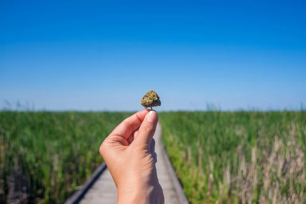 Hand met cannabis bud agains trail en blauwe hemel landschap — Stockfoto