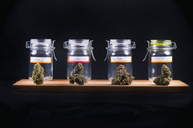 Assorted cannabis bud strains and glass jars - medical marijuana clipart