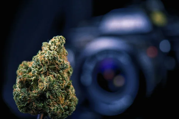Dried cannabis bud in front of digital camera lens - marijuana p — Stock Photo, Image
