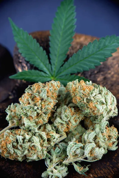 Détail de l'arrangement des bourgeons de cannabis (souche de bouffée de mangue) avec pot — Photo