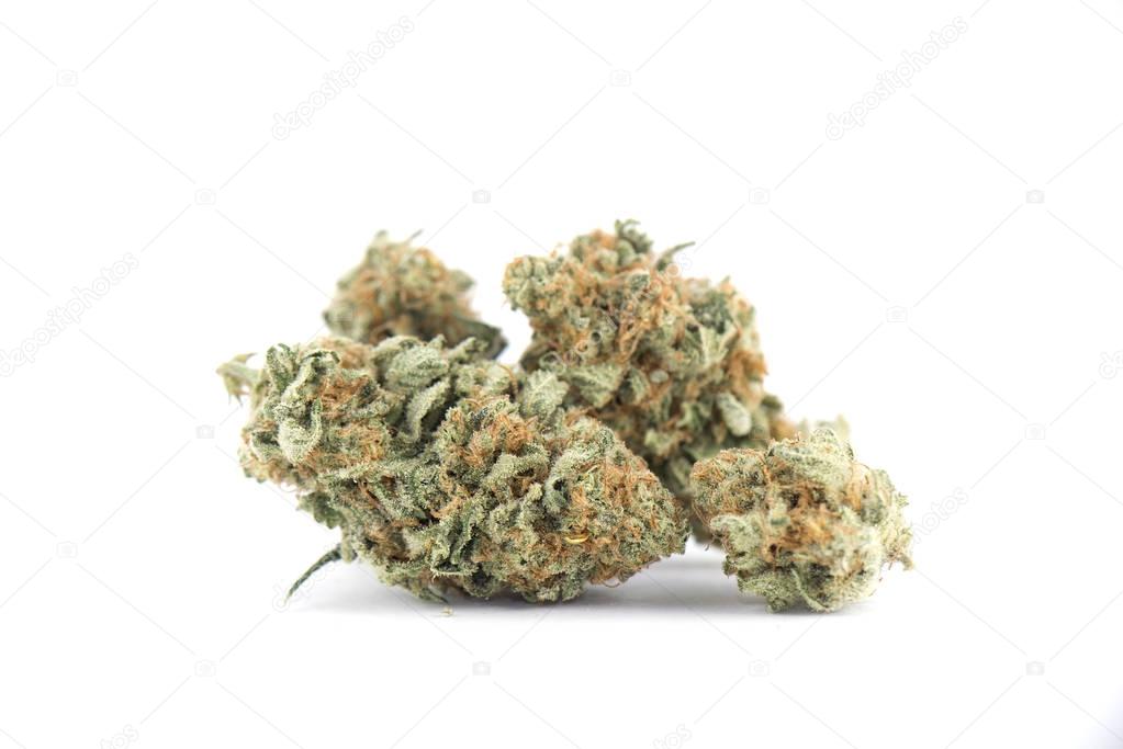 Detail of cannabis buds (mango puff strain) isolated on white 