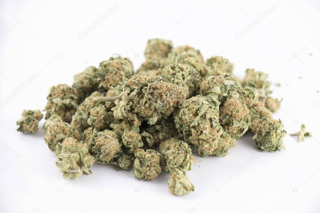 Detail of cannabis buds (mango puff strain) isolated on white