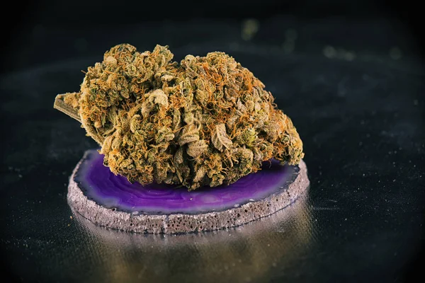 Egyetlen cannabis bud (napsütés álmodozás marihuána törzs) — Stock Fotó