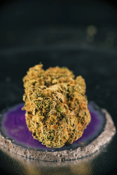 Único botão de cannabis (sol daydream marijuana estirpe) no escuro — Fotografia de Stock