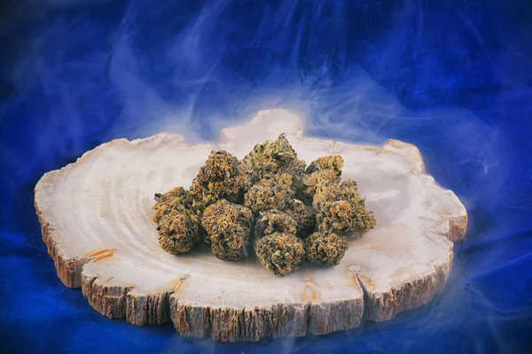 Kannabisz rügyek (mély lila törzs) - orvosi marihuána dispensar — Stock Fotó