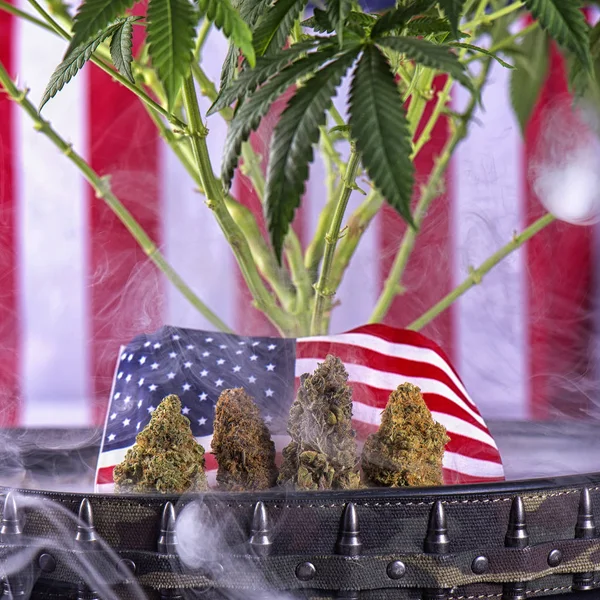 Veteran theme medical marijuana concept with buds, plant and ame — Stock Photo, Image