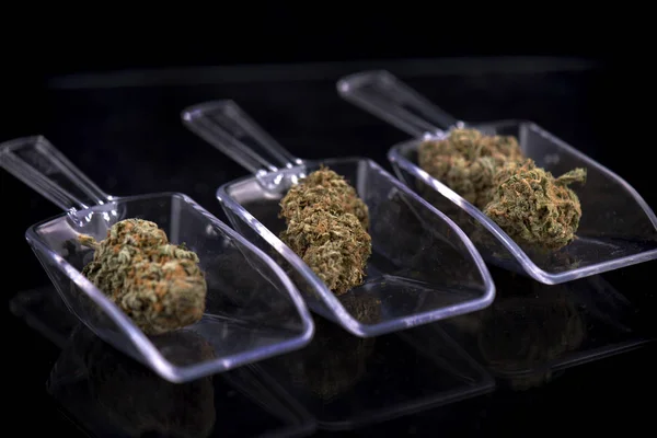 Три бутони канабісу ізольовані над білим марихуаною диспансер c Ліцензійні Стокові Фото