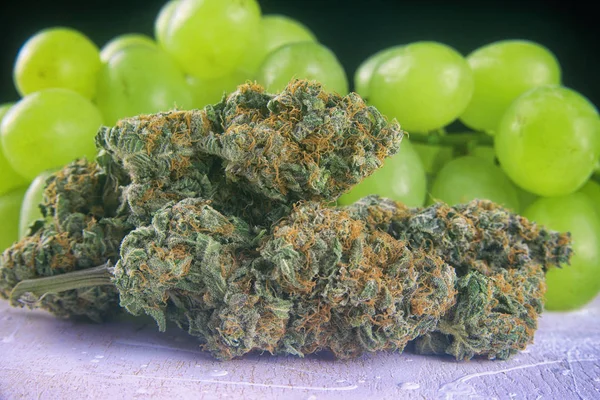 Botões de cannabis secos (estirpe de Ape de uva) com fruta fresca - medica — Fotografia de Stock