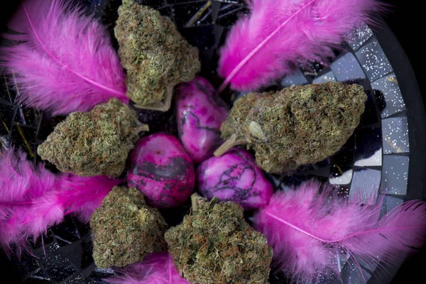 Detalj av torkad cannabis knoppar (Pink Kush stam) med stenar och — Stockfoto