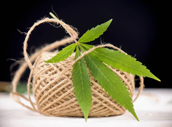 Detalj av hampa fiber garn och cannabis leaf — Stockfoto