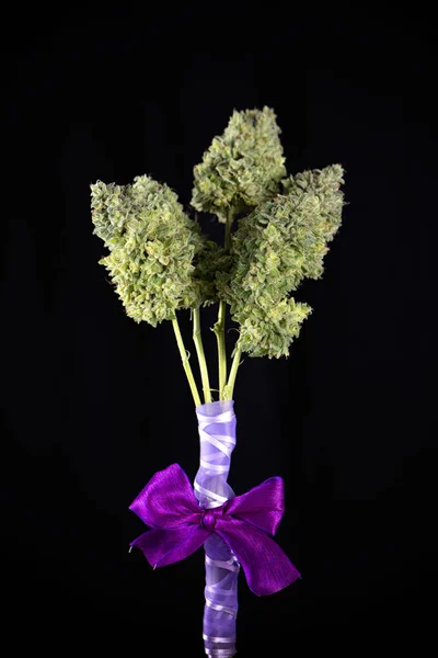 Аромат свежих цветов конопли (штамм марихуаны манголопы) т — стоковое фото