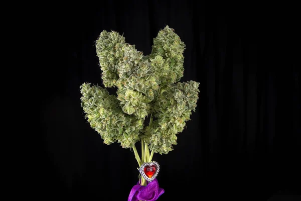 Bukett av färska cannabis blommor (Mangolope marijuana stam) t — Stockfoto