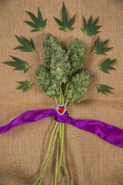 Bukett av färska cannabis blommor (Mangolope marijuana stam) t — Stockfoto