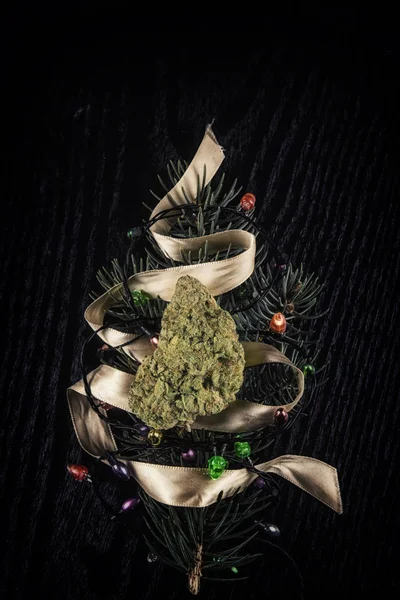 Cannabis trockene Knospe über Tannenzweig ähnelt einem Weihnachtsbaum — Stockfoto