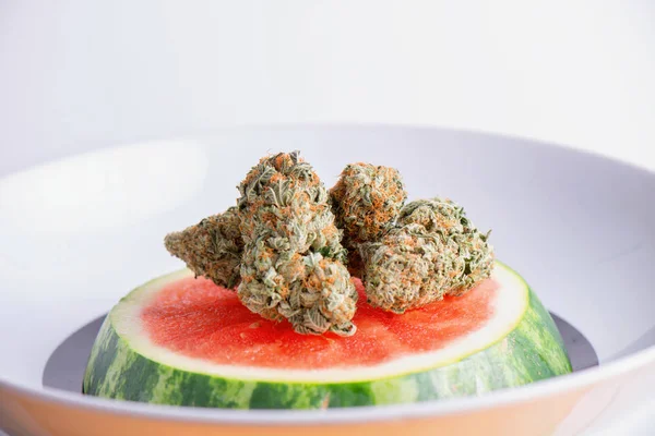 Cannabisknopper (vandmelon marihuana stamme) over en vandmelon s - Stock-foto