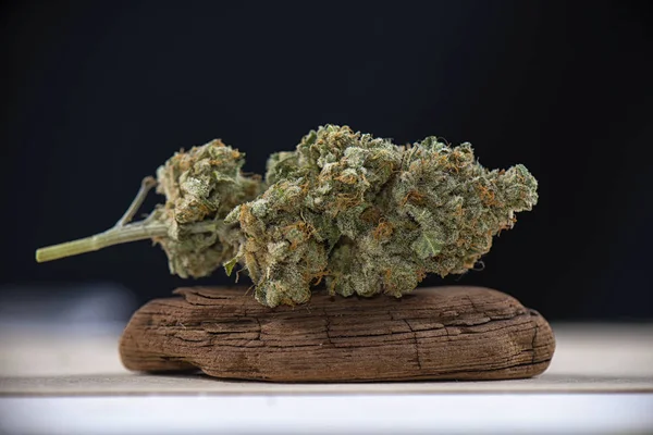 Egyetlen cannabis bud (mangolope marihuána törzs), a sötét backgro — Stock Fotó