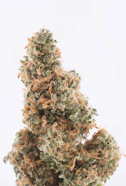 Detail der getrockneten Cannabis-Knospe (grüner Crack-Stamm) isoliert über — Stockfoto