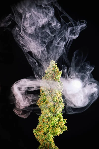 Makro-Detail der einzelnen Cannabis-Knospe (Green Crack Marihuana Strai) — Stockfoto