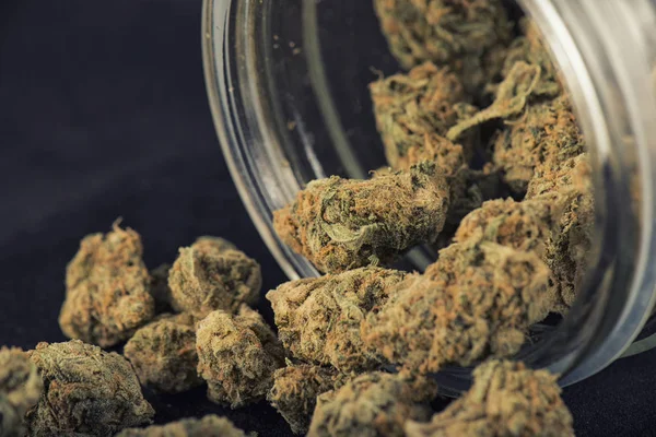 Detalj av cannabis knoppar (druva Gud stam) på en glas burk isolat — Stockfoto
