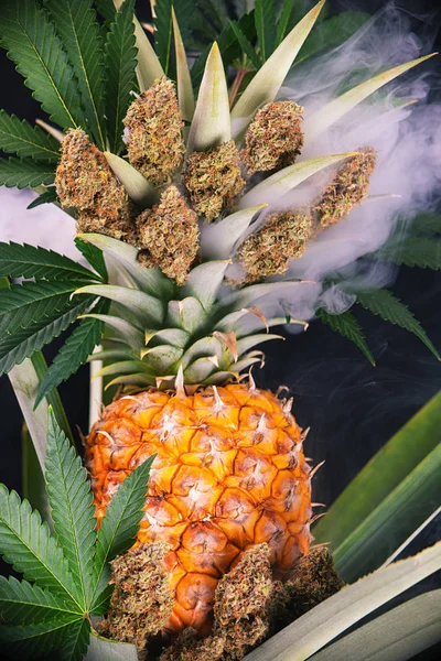 Detail der getrockneten Cannabis-Knospen (grüner Crack-Stamm) mit Ananas — Stockfoto