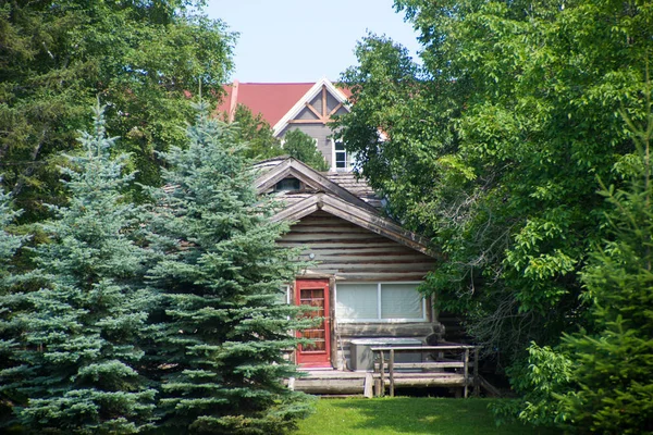 Casa de campo de madeira rústica entre pinheiros em Ontário forrest — Fotografia de Stock