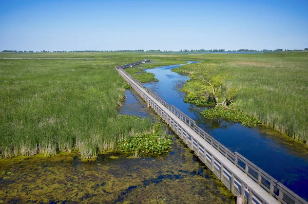 Passeio a pé ao longo do parque provincial Point Pelee durante o verão em — Fotografia de Stock