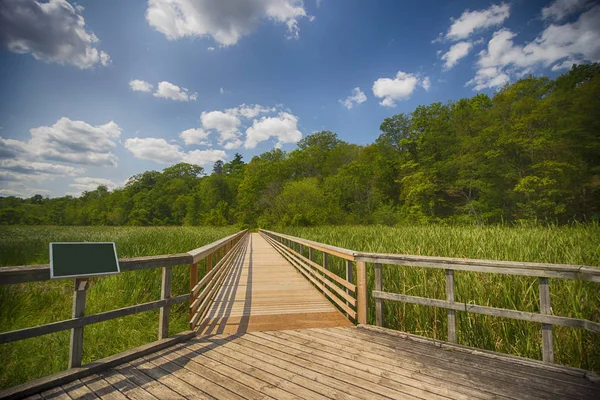 View of walkway in marshland landscape at Ontario's Royal Botani — Stock Photo, Image