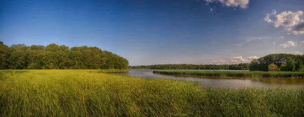 Panoramautsikt over myrlandskap i Ontarios kongelige botanikk – stockfoto