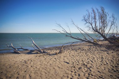 Sonbahar günbatımı zaman, göl Beach'te noktası Pelee Milli Parkı