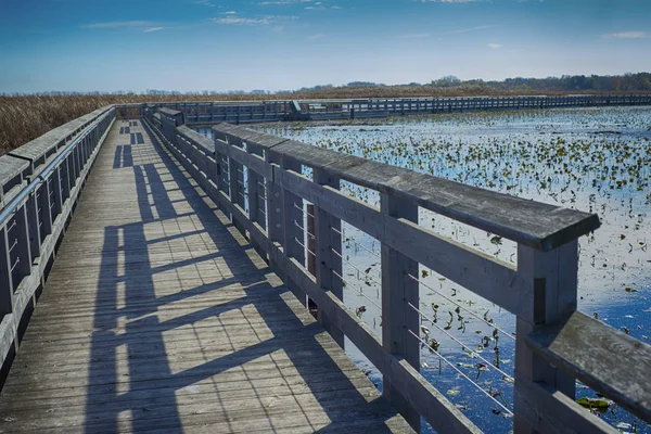 Point Pelee parque nacional e calçadão no outono, Ontário, Ca — Fotografia de Stock