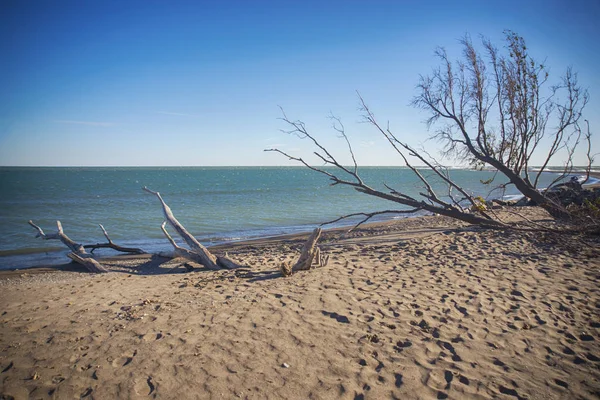Sonbahar günbatımı zaman, göl Beach'te noktası Pelee Milli Parkı
