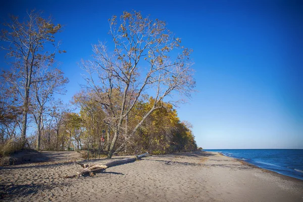 A fal, lake Erie, O pont Pelee Nemzeti Park Beach megtekintése — Stock Fotó