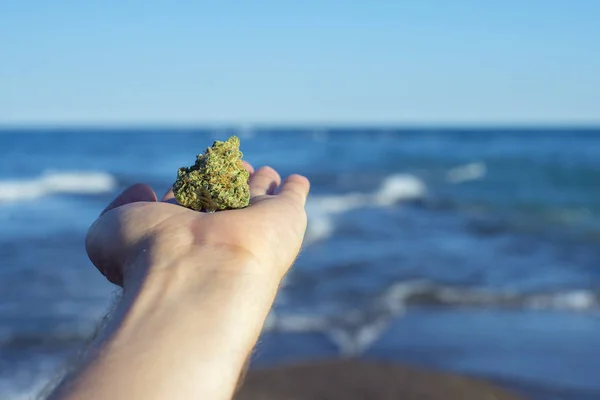 Mano sosteniendo una pepita de cannabis contra las olas del océano y el cielo azul lan — Foto de Stock