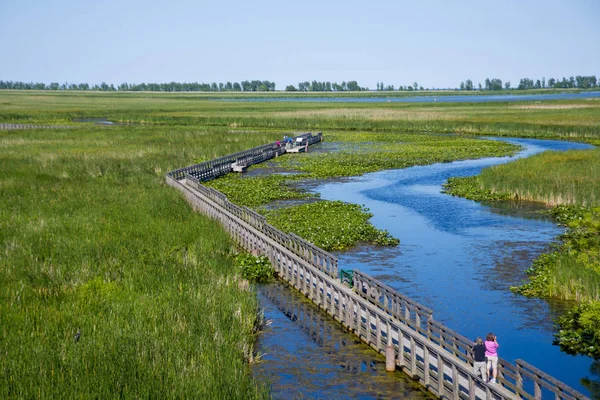 Yaz aylarında sırasında noktası Pelee il park üzerinde güneybatı