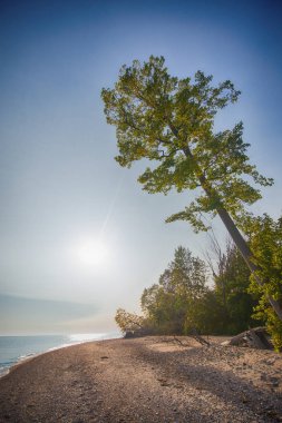 Kum tepeleri Rondeau Provincial Park Beach deki summe görünümünü