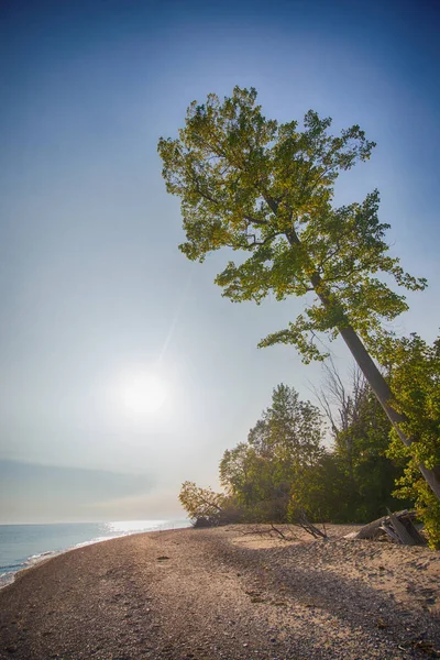 Nézd homokdűnék Rondeau Provincial Park strand nyári szezonban — Stock Fotó