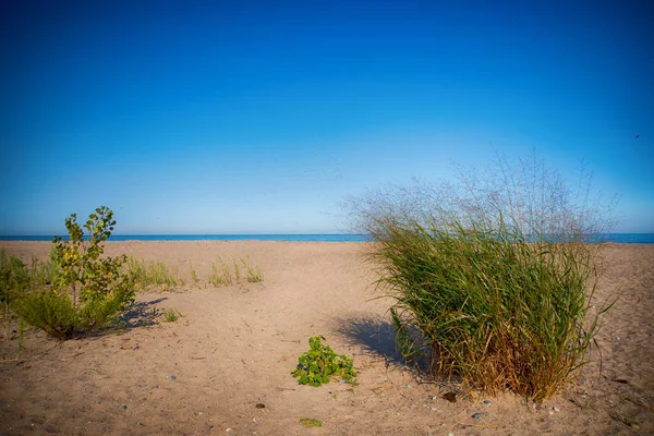 Nézd homokdűnék Rondeau Provincial Park strand nyári szezonban — Stock Fotó