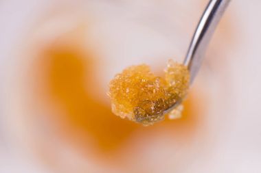 Esrar konsantre canlı reçine (tıbbi marijuan çıkarılan