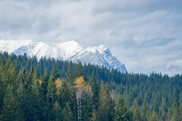 Vrcholy Skalistých hor. z města Golden, Bc, Kanada — Stock fotografie