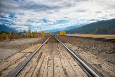 Railroad tracks in the horizon with the Canadian Rocky Mountains clipart