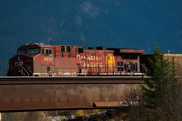 Golden, BC, CANADA - OCT 23, 2017: Train passing by the town of — Stock Photo, Image