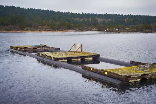 Zwevende dek in Oyster Bay, genomen in de stad van Ladysmith, Bc, — Stockfoto