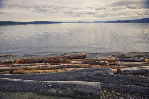 Dzienniki w Transfer plaży o zachodzie słońca w Wyspa Vancouver, Bc, Kanada — Zdjęcie stockowe