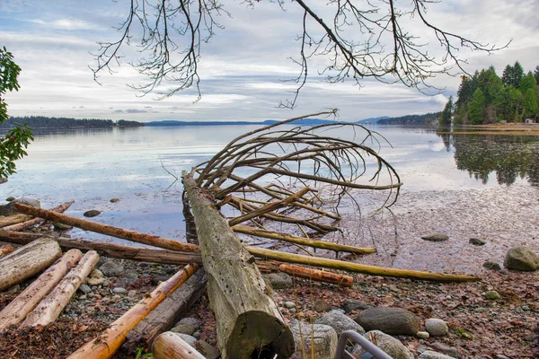 Ladysmith kıyı Vancouver Island haliçler görünümünü — Stok fotoğraf