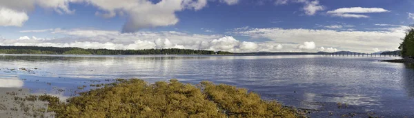 Panoramautsikt över Ladysmith strandlinjen i Vancouver Island, Canad — Stockfoto