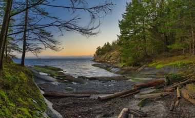 Doğa Manzaralı panoramik okyanus ve Jack noktası ve Biggs Park