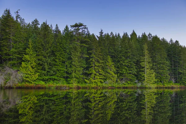 Vista panorámica de Heart Lake en Ladysmith, Isla Vancouver, Britis — Foto de Stock