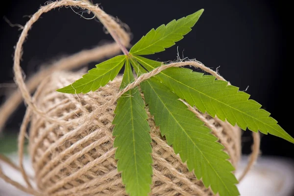 Detalle del hilo de fibra de cáñamo y la hoja de cannabis — Foto de Stock