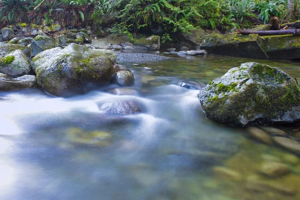 Rocas y agua fluyendo en Holland Creek trail en Ladysmith, Van —  Fotos de Stock